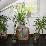 Palmenbad 4*