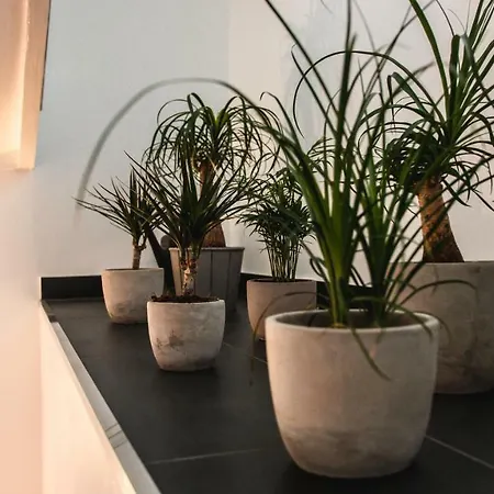 호텔 Palmenbad 카셀