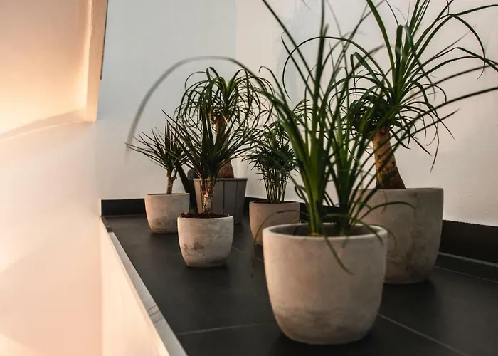 Hotel Palmenbad Kassel